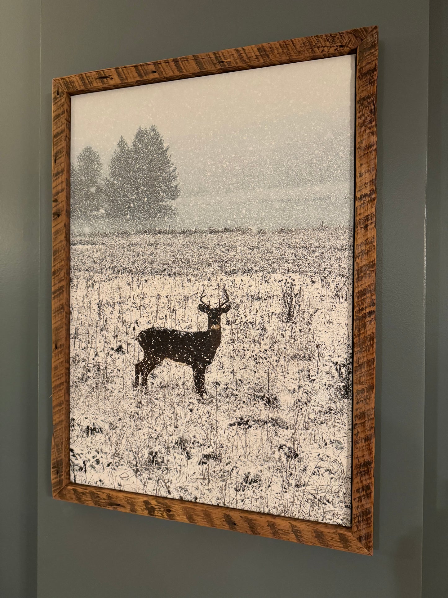 Winter White-tail Canvas Wall Art